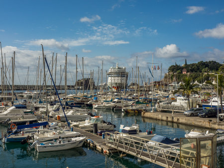 the island of Madeirain Portugalの写真素材