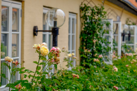 Svaneke village on Bornholm islandの写真素材