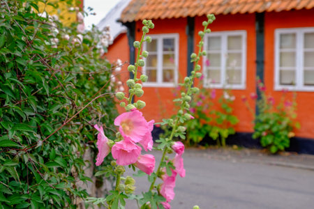 Svaneke village on Bornholm island