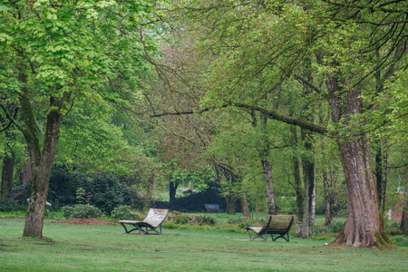 spring time at Vreden in the German Muensterlandの写真素材