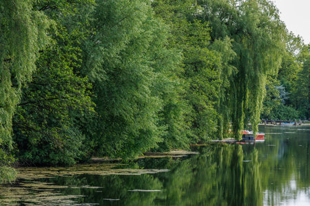 spring time at a lake in Westphalia