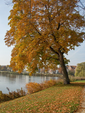 the city of Schwerinの写真素材