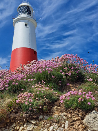 Isle of Portland in Englandの写真素材