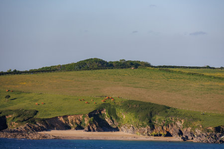 Falmouth in Cornwallの写真素材