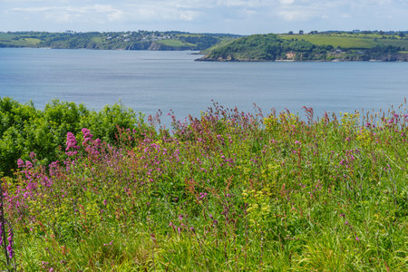 Cornwall and the city of Falmouth