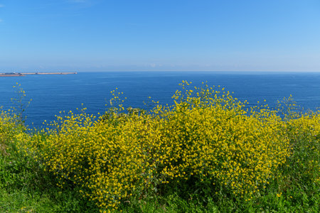 the city of Gijon in Spainの写真素材