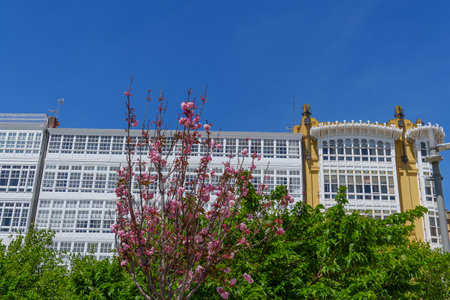 A Coruña in Spainの写真素材