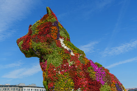 Blibao city in the basque landの写真素材
