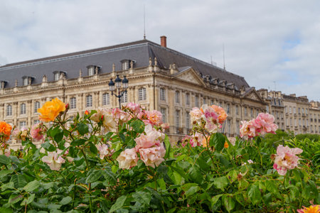 the city of Bordeaux in Franceの写真素材