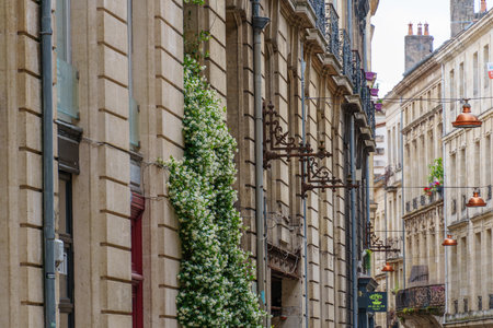 the city of Bordeaux in Franceの写真素材