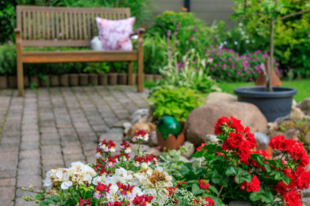 Hiking in the German Baumbergeの写真素材