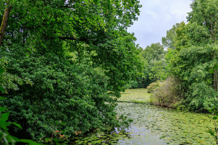 Hiking in the German Baumbergeの写真素材