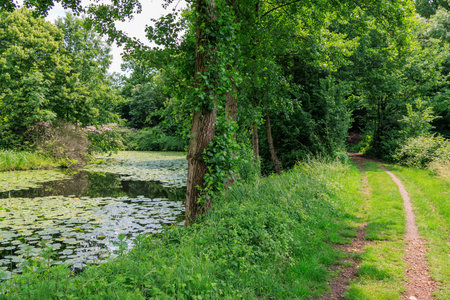 Hiking in the German Baumbergeの写真素材