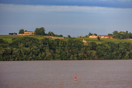 Bordeaux city at the Garonne river in Franceの写真素材