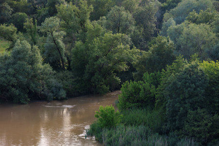 Bordeaux city at the Garonne river in Franceの写真素材
