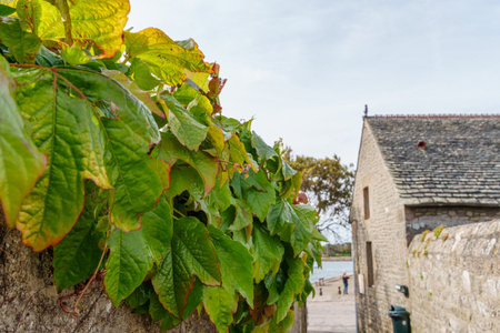 Cherbourg and the Normandy in Fracne
