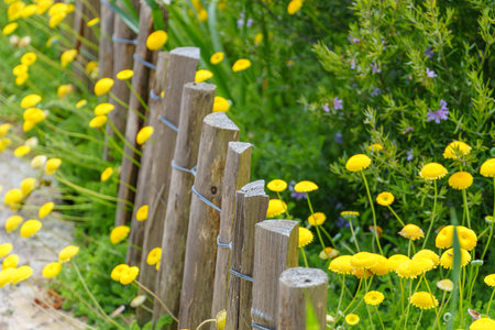 Cherbourg and the Normandy in Fracneの写真素材