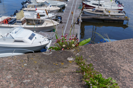 Cherbourg and the Normandy in Fracne