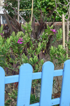 Cherbourg and the Normandy in Fracneの写真素材