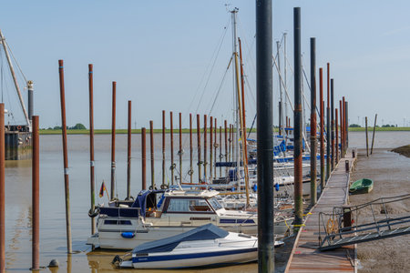 summer time near Ditzum in east Frisiaの写真素材