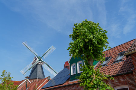 summer time near Ditzum in east Frisiaの写真素材