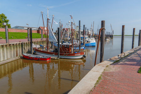 summer time near Ditzum in east Frisia
