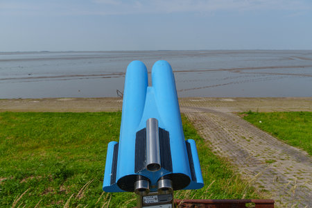 summer time near Ditzum in east Frisiaの写真素材