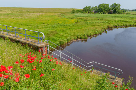 summer time near Ditzum in east Frisiaの写真素材
