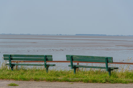 summer time near Ditzum in east Frisia