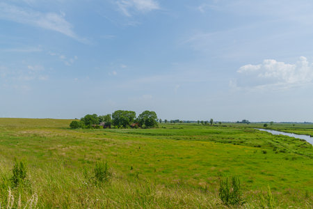 summer time near Ditzum in east Frisiaの写真素材