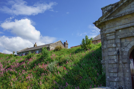 Falmouth in Cornwall, Englandの写真素材