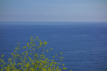 Gijon city in Spainの写真素材