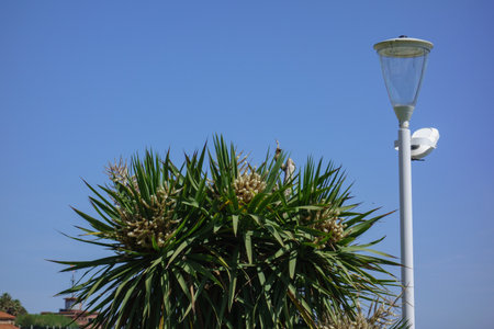 in the north of Spainの写真素材