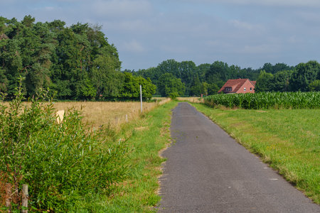 summer time in the german muensterlandの写真素材