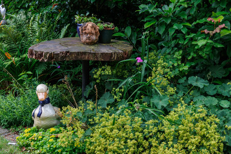 summer time in the german muensterlandの写真素材