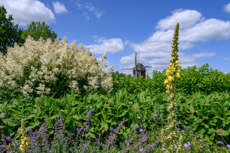 Summer time in Westphaliaの写真素材