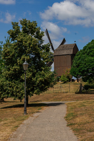 at the Havel Lakes in the German Brandenburgの写真素材
