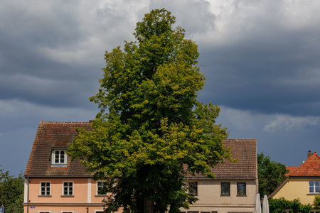 at the Havel Lakes in the German Brandenburgの写真素材