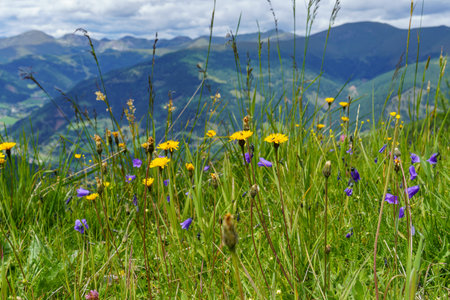 Carinthia in the Austrian Alpsの写真素材