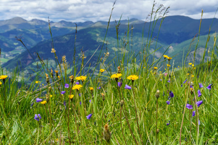 Carinthia in the Austrian Alpsの写真素材