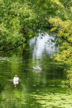 at the lakes near Potsdam in Brandenburg