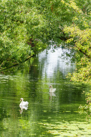 Potsdam city with historic buildings and green parks