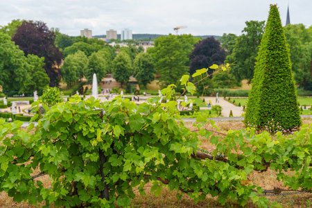 Potsdam city with historic buildings and green parksの写真素材