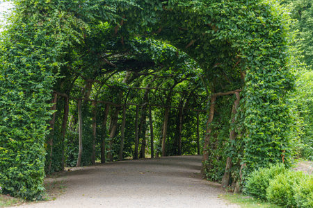 Potsdam city with historic buildings and green parks