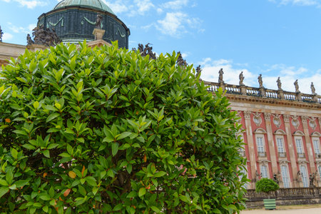 Potsdam city with historic buildings and green parksの写真素材