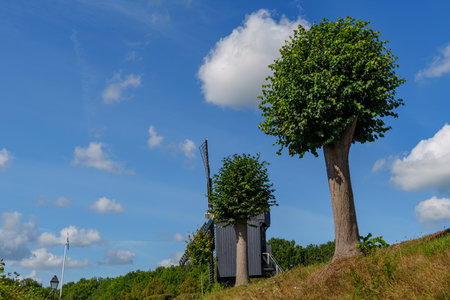the old village Bourtange in the Netherlandsの写真素材