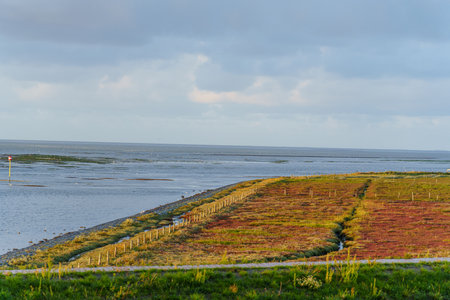 the island of Vlieland in the Netherlands