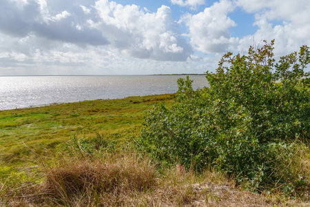 the island of Vlielandの写真素材