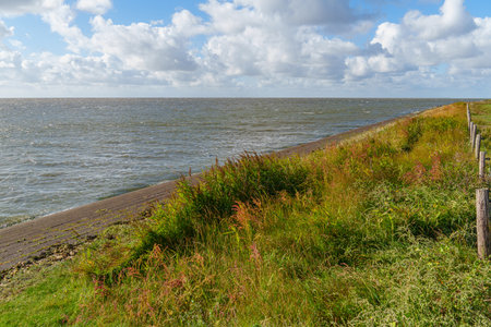 the island of Vlieland in the Netherlands