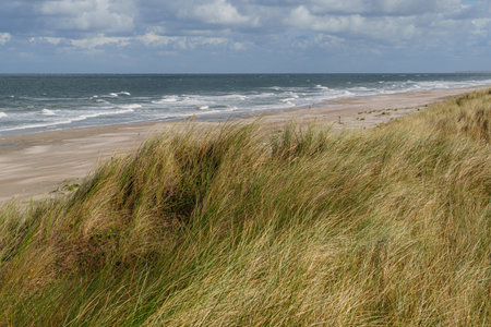 the island of Vlieland in the Netherlands